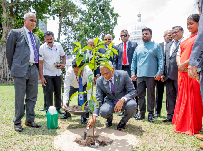 Maldivian President Plants a Sapling to Mark 60 Years of Sri Lanka–Maldives Diplomatic Relations